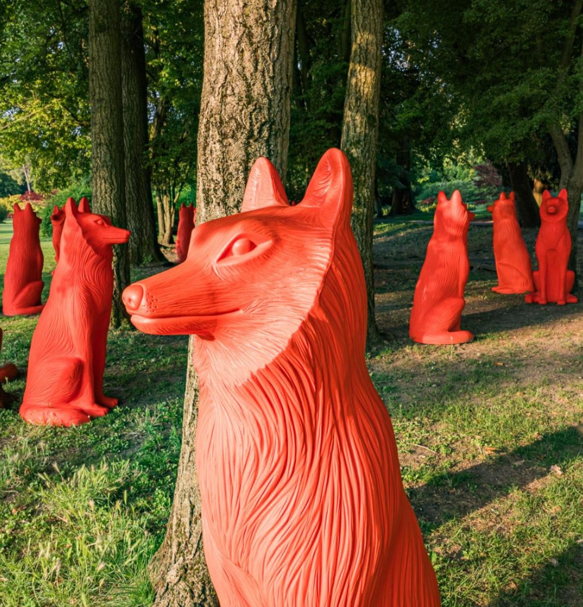parco sigurta - Cracking Nature