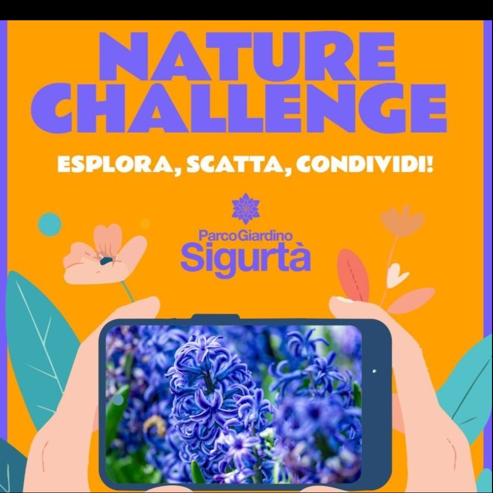 parco sigurtà - challenge instagram