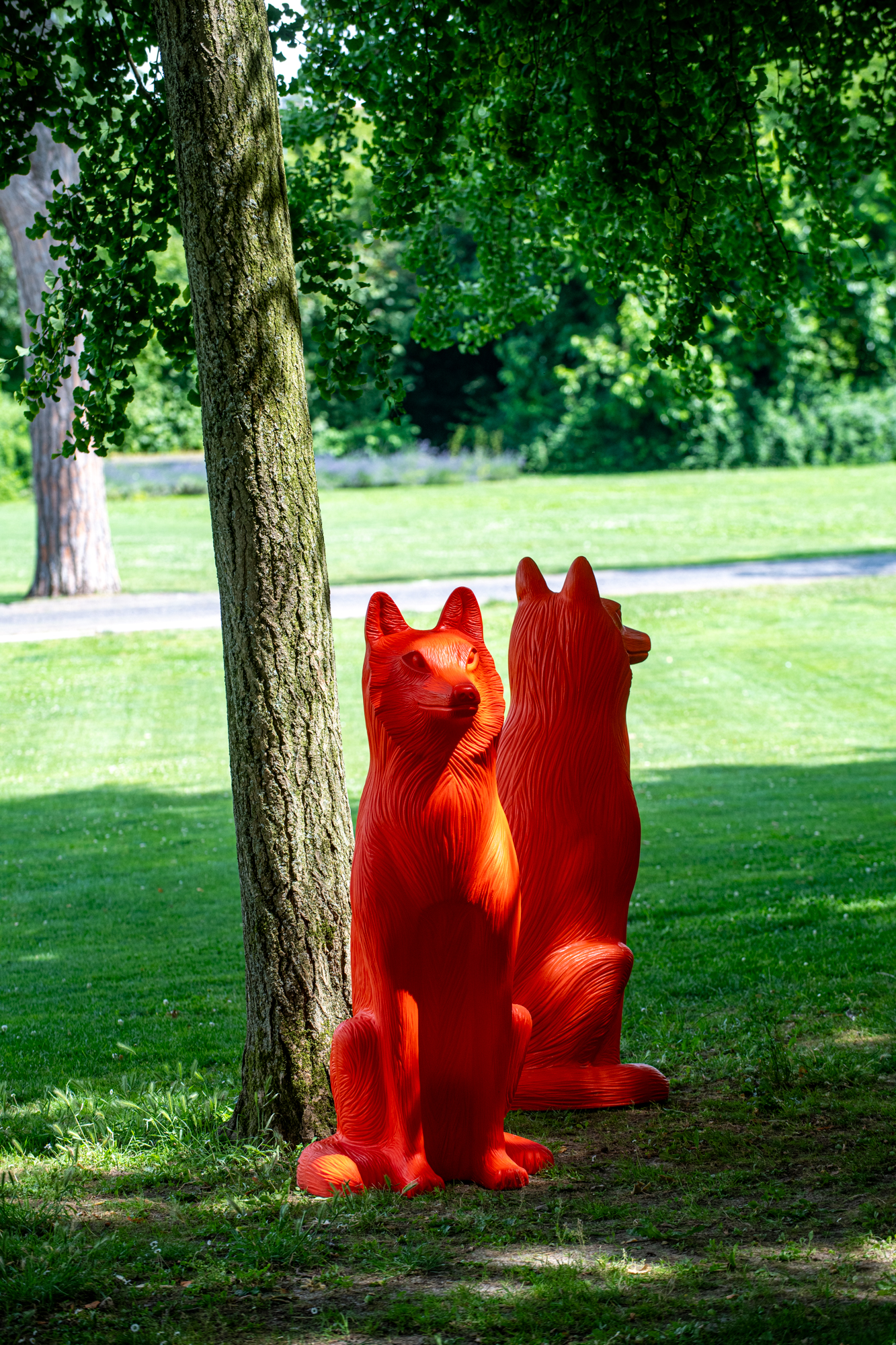 parco sigurta - natura e salute